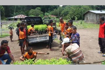 [Rapport] 2017, record de plantation en Indonésie