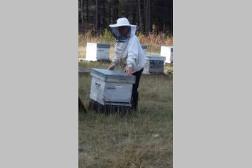 Faire de sa passion un métier : éleveuse de "reines d'abeilles"