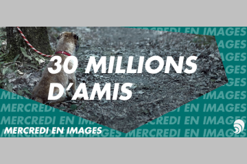 [IMAGES] La Fondation 30 millions d’amis présente sa nouvelle campagne estivale