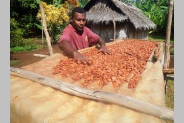 Salon du chocolat : Moli en lice pour les Cocoa Awards