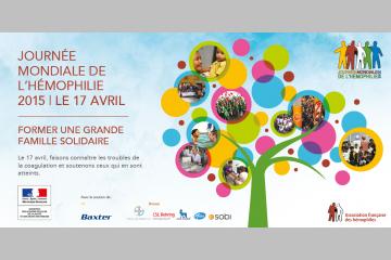 La JMH 2015 en région !