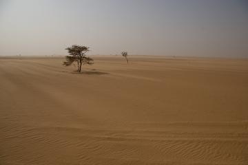 [Fiche pratique] Insécurité alimentaire dans le Sahel