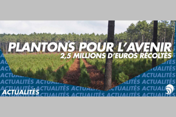 Plantons pour l'avenir engage les entreprises pour le reboisement des forêts