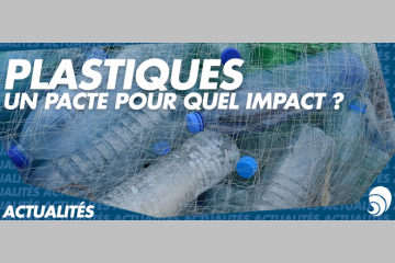 Emballages plastiques : un pacte pour quel impact ?