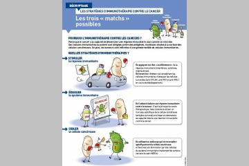 Les stratégies d’immunothérapie contre le cancer