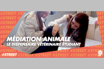[#STREET] À Lyon, des étudiants vétérinaires soignent les animaux des sans-abri