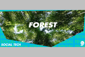 [SOCIAL TECH] Forest, une application mobile pour planter des arbres