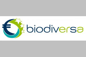 BIODIVerSa lance un appel à projet pour préserver la biodiversité en Europe.