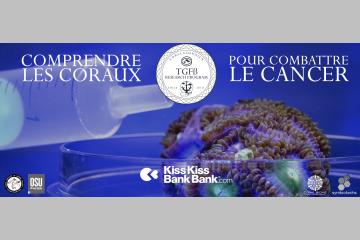 Comprendre les Coraux pour Combattre le Cancer