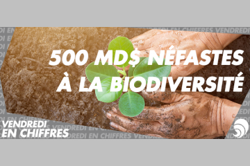 [CHIFFRE] 500 Md de dollars par an d’investissements néfastes à l’environnement