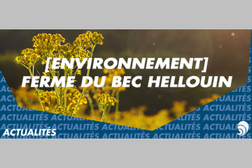 [ENVIRONNEMENT] Les fermes et la permaculture au service de l'écologie