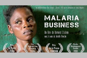 Malaria business sur France 24