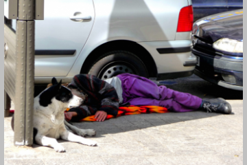 En Belgique, le prince s'occupe des chiens des SDF 