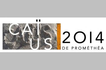 Les Caïus : les prix du mécénat en Belgique