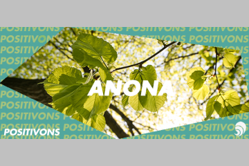 [POSITIVONS] Anona : une forêt plantée en 24 h grâce aux dons des internautes