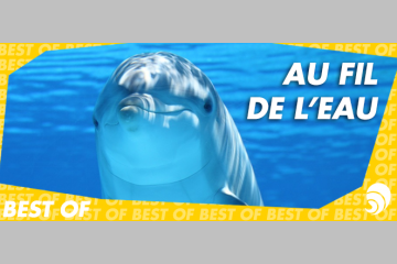 [BEST OF] Au fil de l’eau