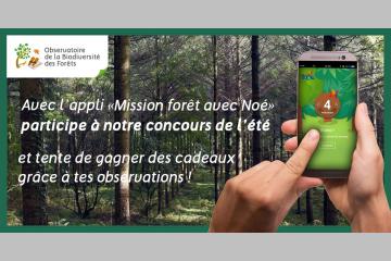 Concours de l’Observatoire de la biodiversité des Forêts !